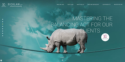 Bick Law LLP Web Design law firm logo design law firm web design law firm website law firm website design