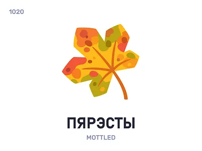 Пярэ́сты / Mottled belarus belarusian language daily flat icon illustration vector word