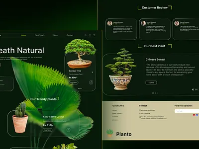🌱 Planto – Plant Shop Website UI figma hero section design product design ui ux web design