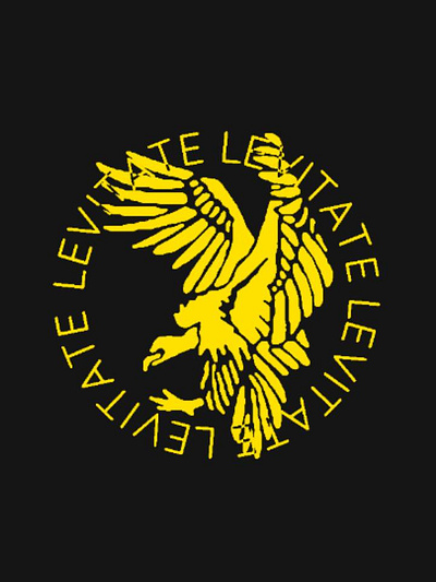 Levitate Vulture crest graphic design logo symbol tøp