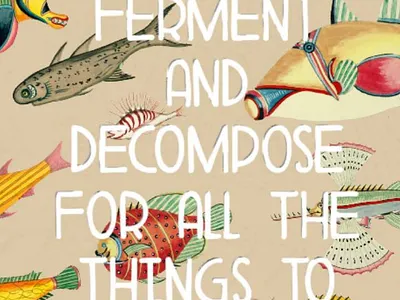 "Solar Waltz" by Cosmo Sheldrake art design fish graphic design illustration music