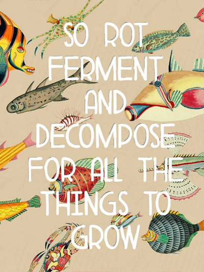 "Solar Waltz" by Cosmo Sheldrake art design fish graphic design illustration music