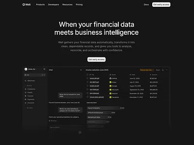 Well - The modern Financial Stack for SMBs graphic design monochromic