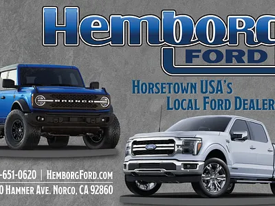 Hemborg Ford Lanscape Poster car cars ford graphic design illustrator truck