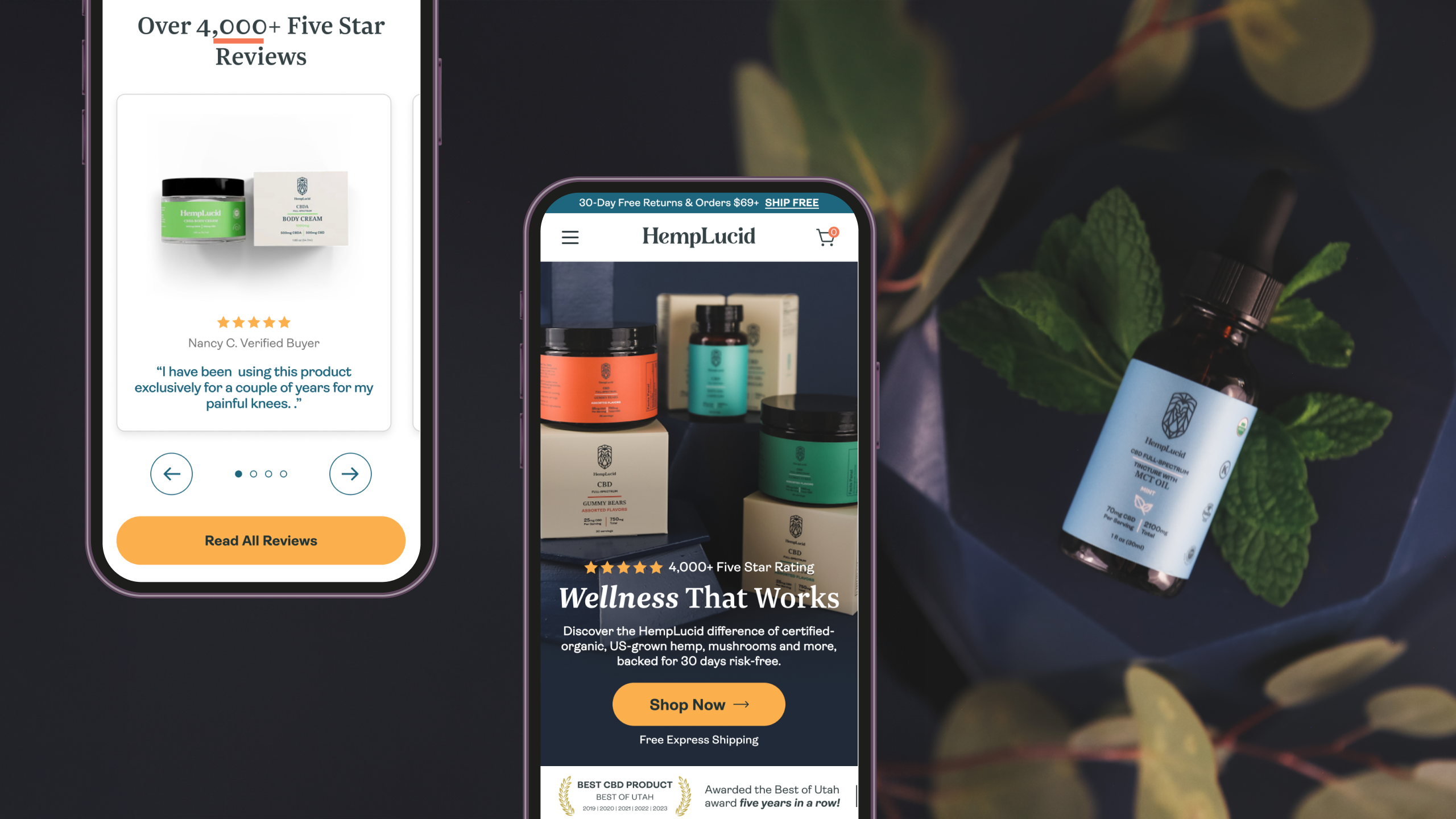 Hemplucid - Homepage Design
