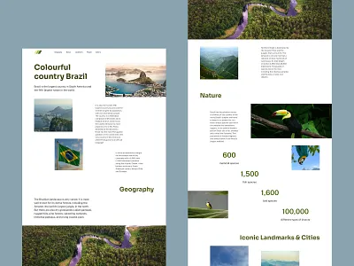 Longrid Brazil / 01 brazil longread longrid ui ux web webdesign