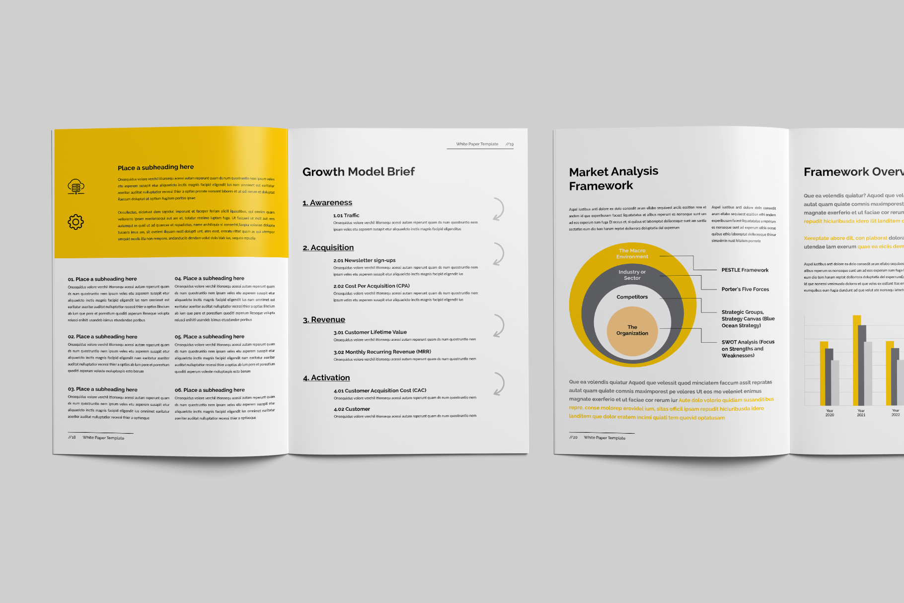 Example of Professional White Paper Template