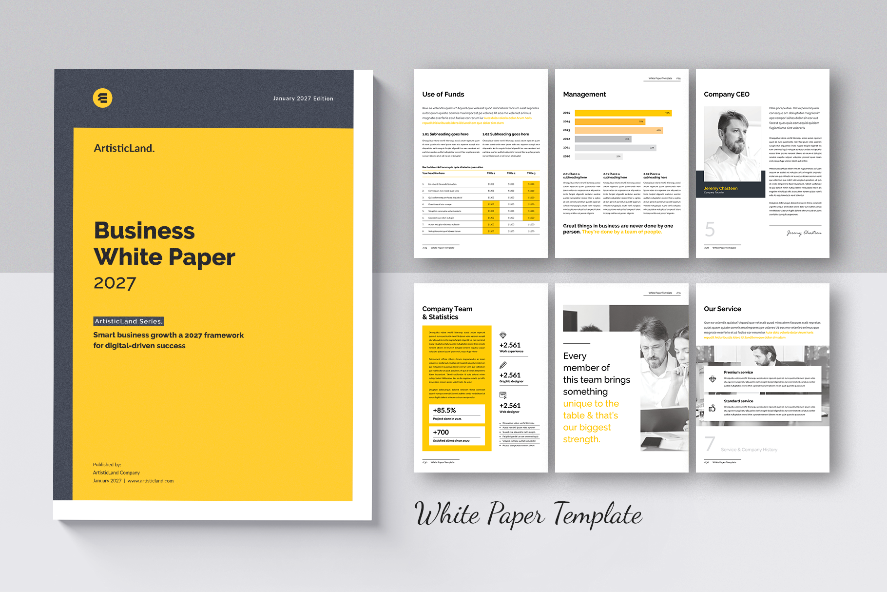 Example of Professional White Paper Template