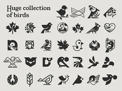 Birds logos bird bird logo brand branding design elegant fintech graphic design logo logo design logo designer logodesign logodesigner logotype minimalism minimalistic modern negative space negative space logo saas