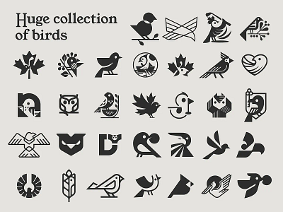 Birds logos bird bird logo brand branding design elegant fintech graphic design logo logo design logo designer logodesign logodesigner logotype minimalism minimalistic modern negative space negative space logo saas