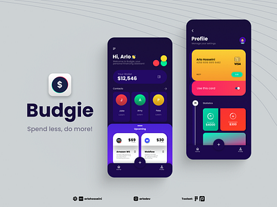 Budgie - A concept app app design finance mobile ui ux