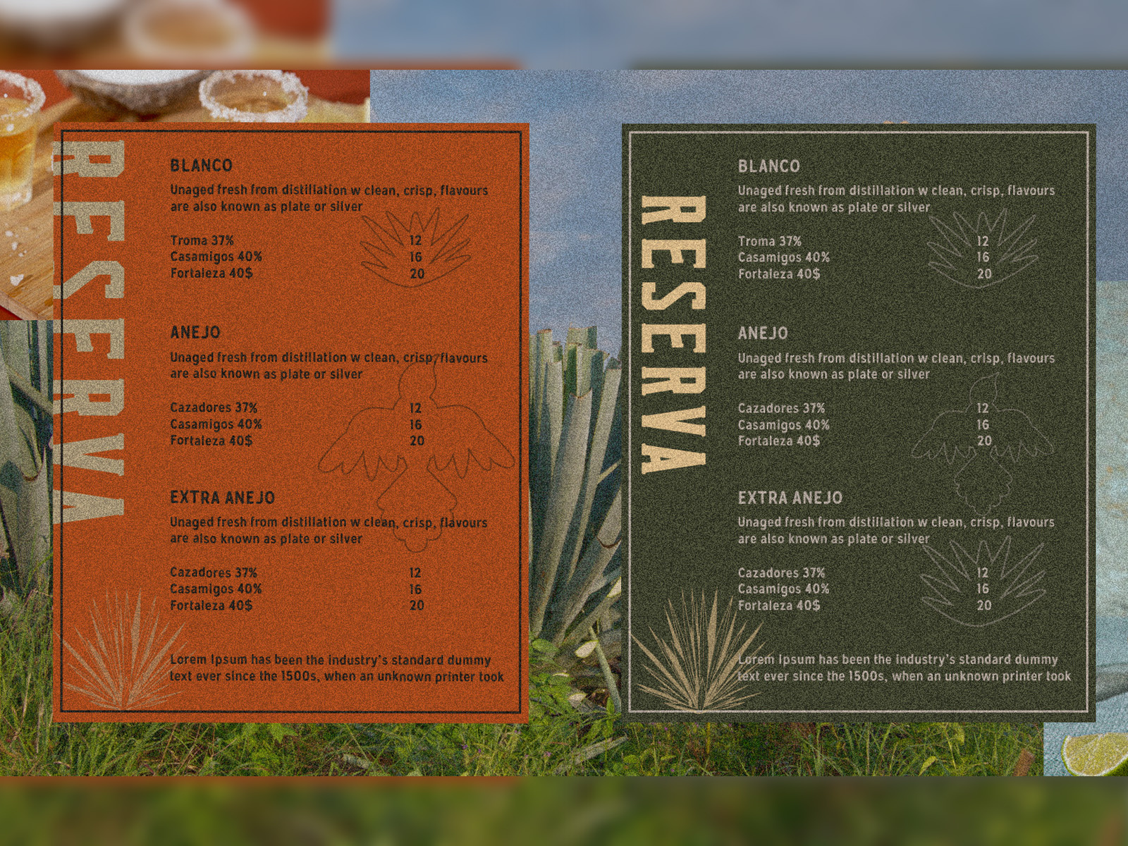 Example of Logo & Visual Identity 