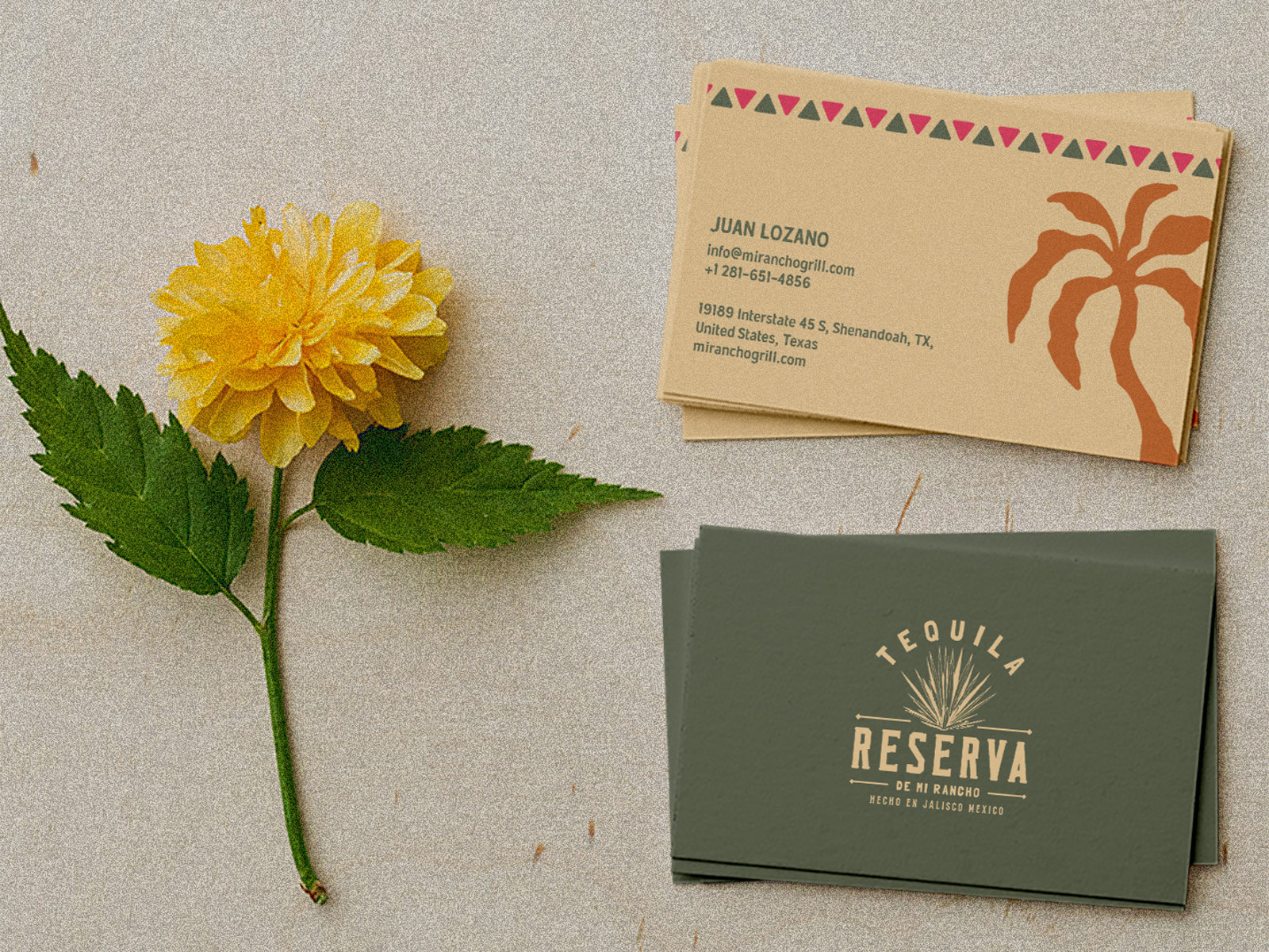 Example of Brand Identity Suite
