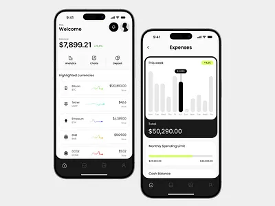 ⬆️Financial Dashboard and Crypto Portfolio UI app prototype