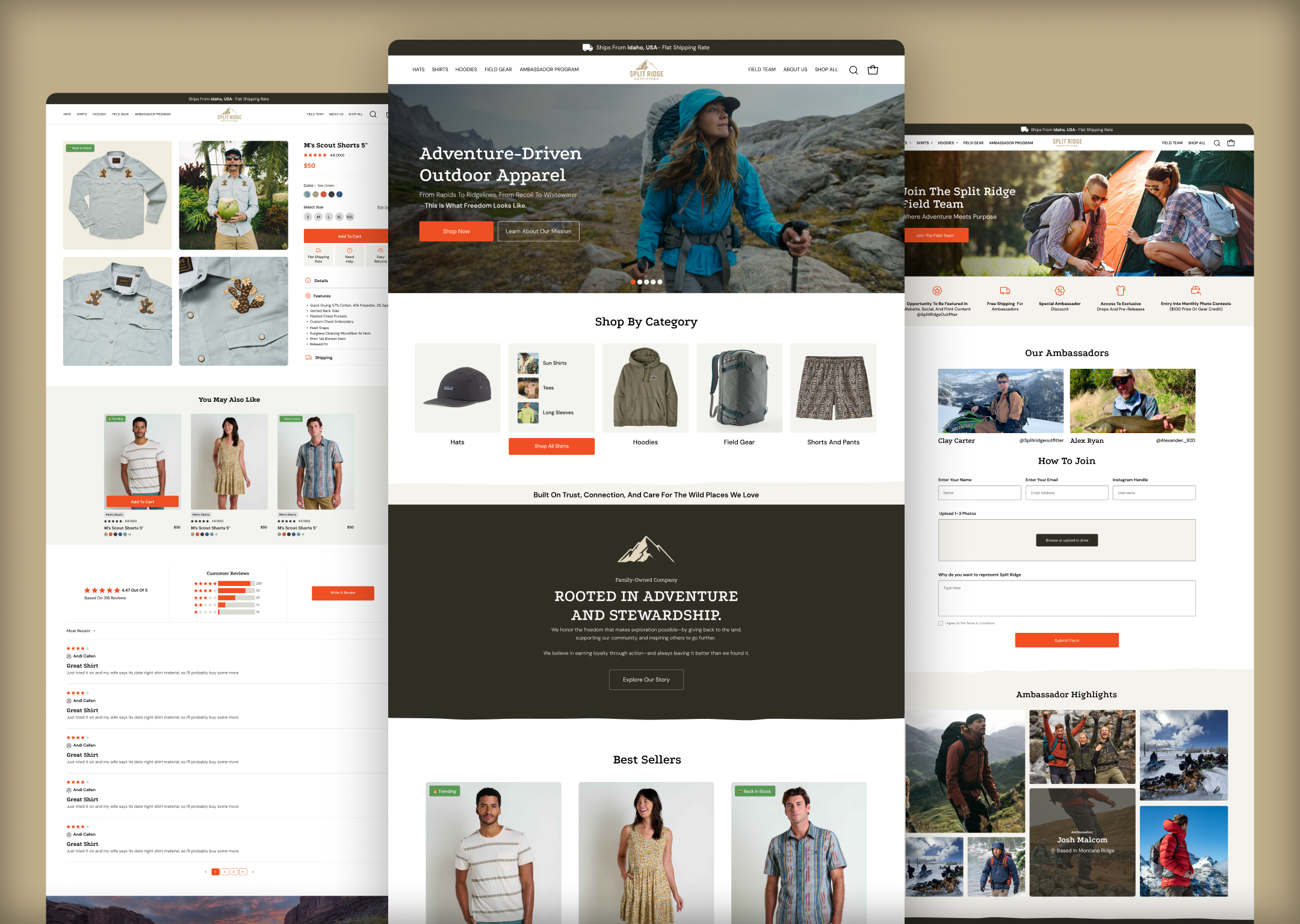 Example of Custom Shopify Website Design