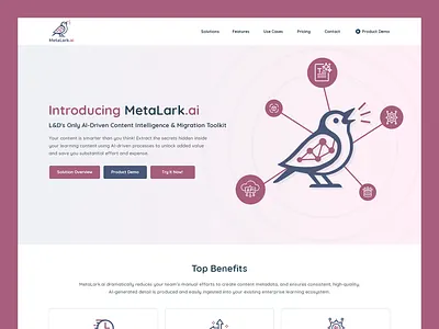 MetaLark // Web Design ai api artificial intelligence content extraction process software technology toolkit web design