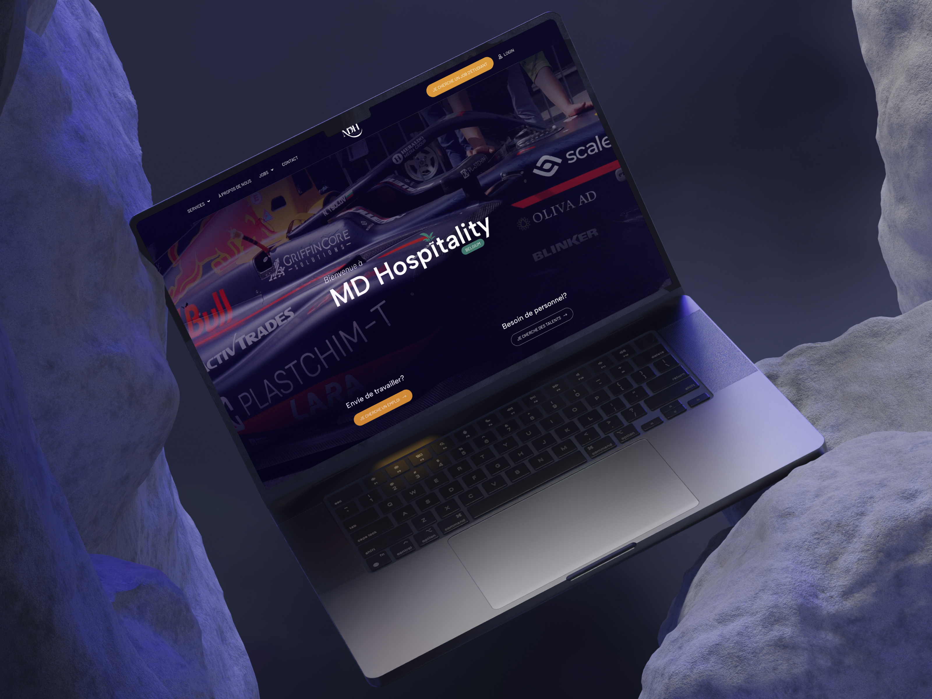 Example of Landingpage Design & Development