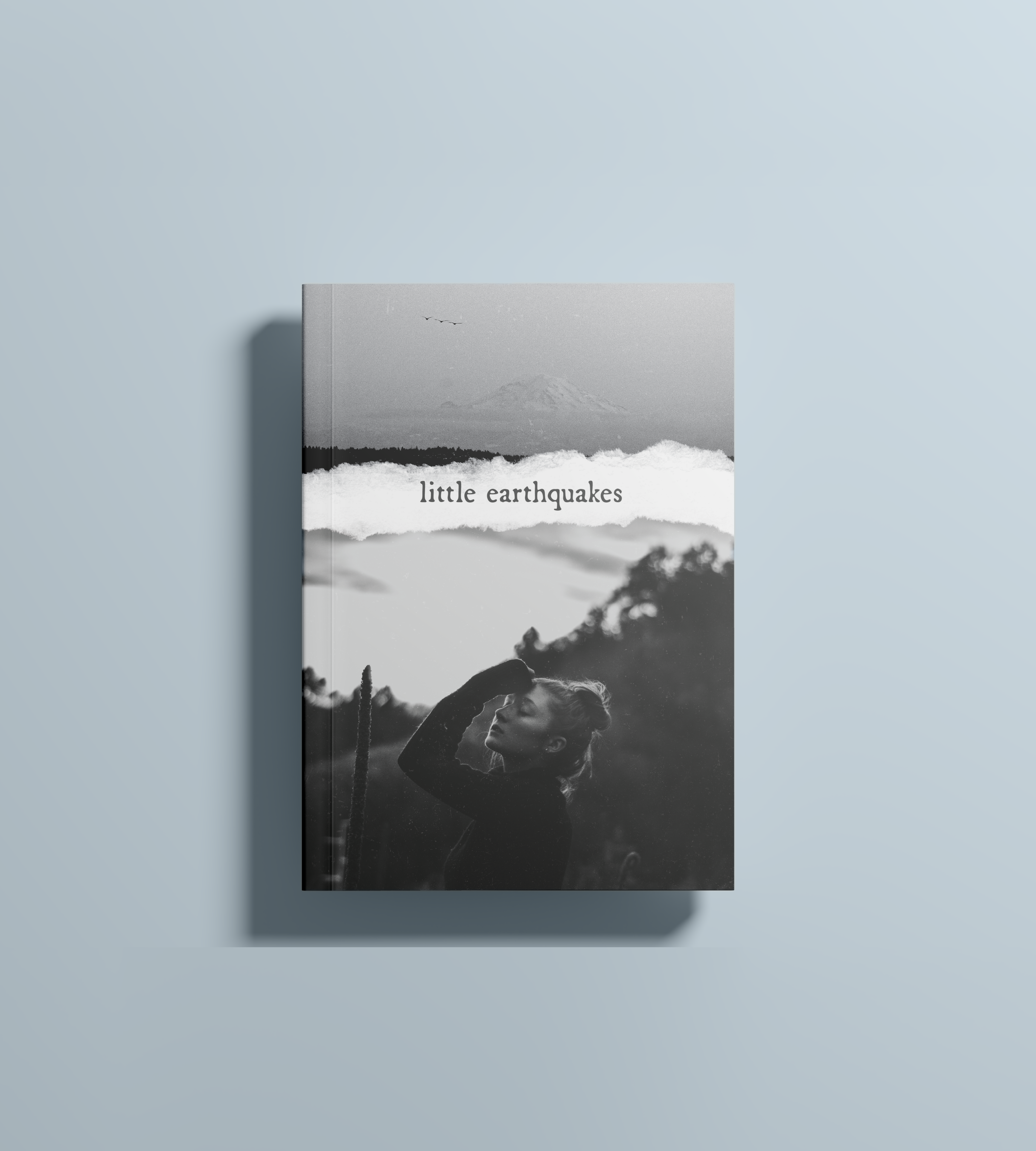 Book Cover Design | Little Earthquakes book covers graphic design photography print design typography