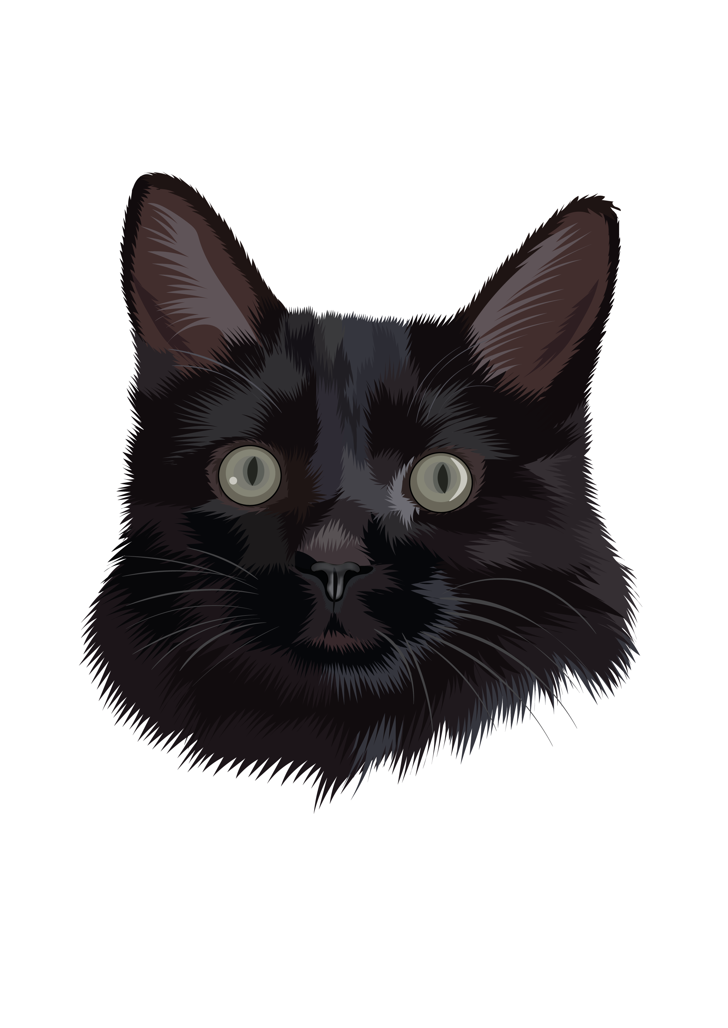 Midnight Whiskers cat lover