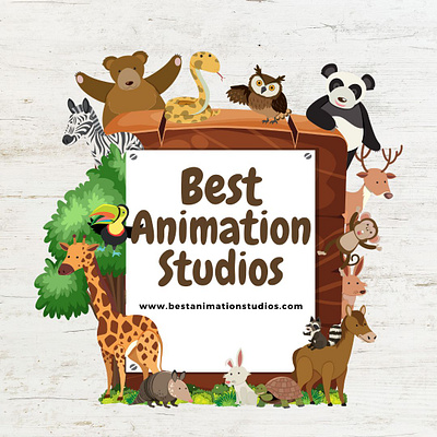 Best Animation Studios | Dribbble