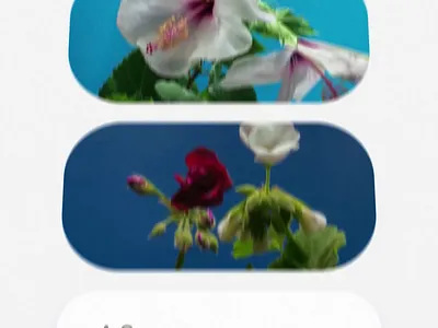 Soft Circle Motion UI Animation alpha animation app blur circles design gradient interface minimal modern motion portrait product slider smooth soft ui ux visual youmotion