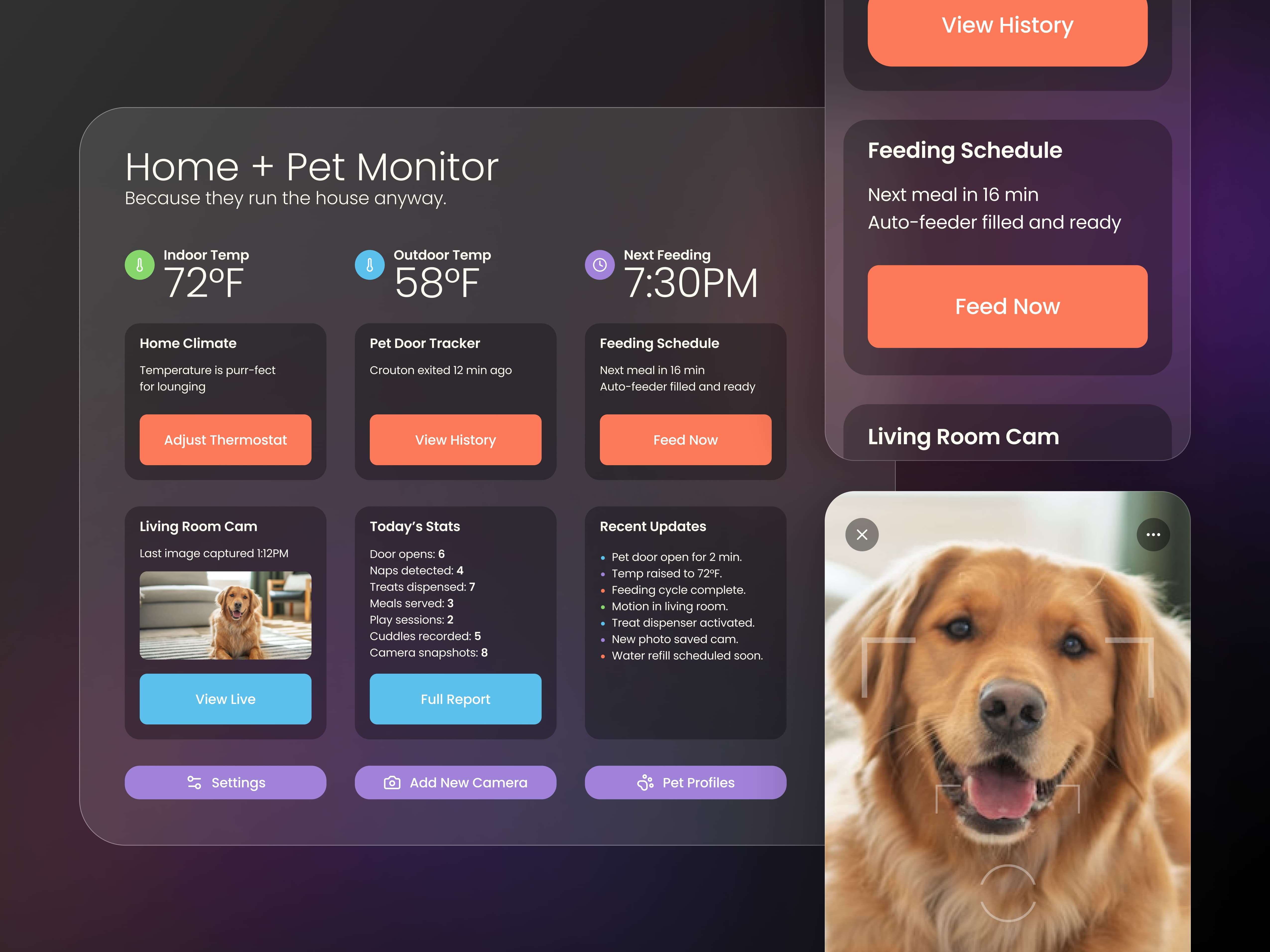 Home + Pet Monitor Dashboard | Daily UI #021 concept design dailyui21 dashboard design home monitoring pet monitor smart home ui ui design