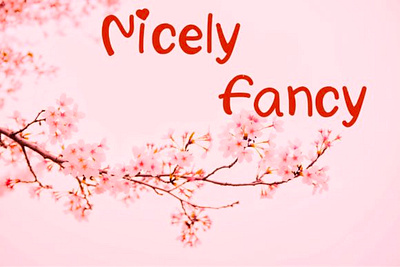 Nicely Fancy Font cute font cute fonts decor fonts decorate font handwritten font handwritten fonts