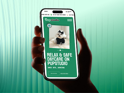 Pet Care Website - Mobile Responsive Design animal care ecommerce ecommerce website design mobile website modern website design pet adoption pet adoption website pet care pet care landing page pet care platform pet health pet website pets responsive design ui uiux design web design website website concept