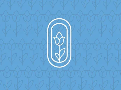 Oaza branding design graphic design illustration logo motion graphics oaza typography