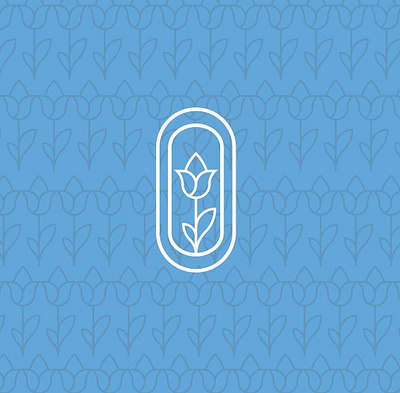 Oaza branding design graphic design illustration logo motion graphics oaza typography