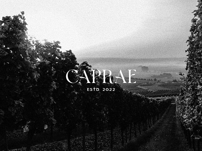 Caprae Winery Branding branding graphic design logo