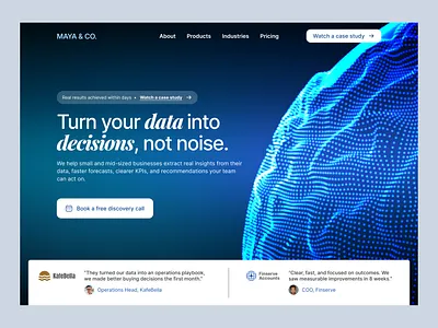 Data Analysis Firm Website branding ui ui design ui ux ux web design web ui website