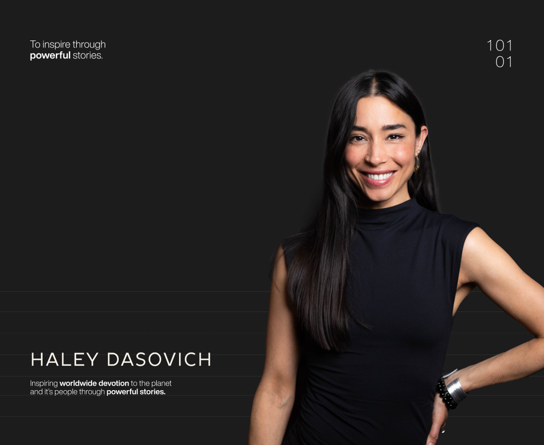 Haley Dasovich branding creative design design graphic design illustration logo visual identity