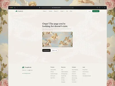404 Page 404 ai multipage section ui ui design uiux ux