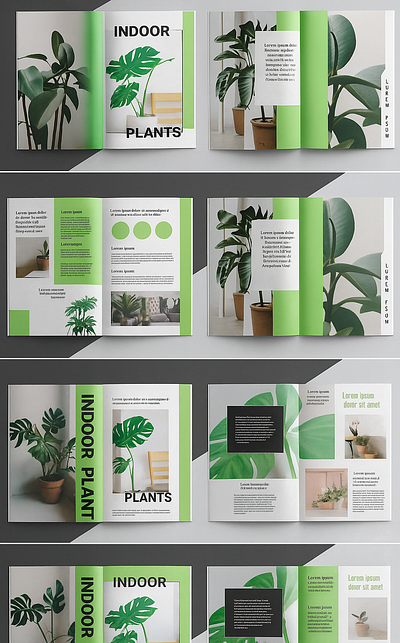 Brochure broucherdesign