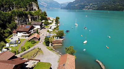 “Transforming ordinary logos into dynamic art.” animated logo animation branding design graphic design illustration logo logo animation logo design logos typography vector