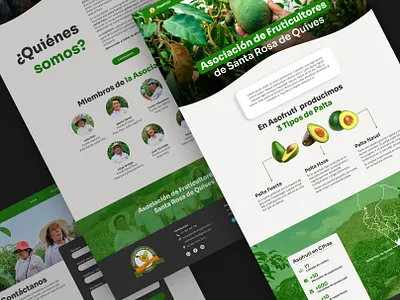 Asofruti - Web design amunozasto avocado design farming peru ui ui design web design website
