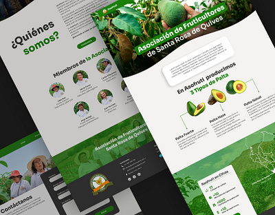 Asofruti - Web design amunozasto avocado design farming peru ui ui design web design website