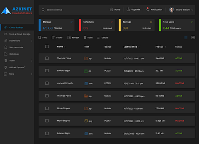 Azkinet Dashboard Pages branding dark theme dashboard design graphic design illustration layout light theme logo ui vector web template