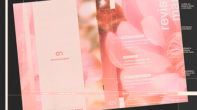 MACN | Museum Identity editorial graphic design