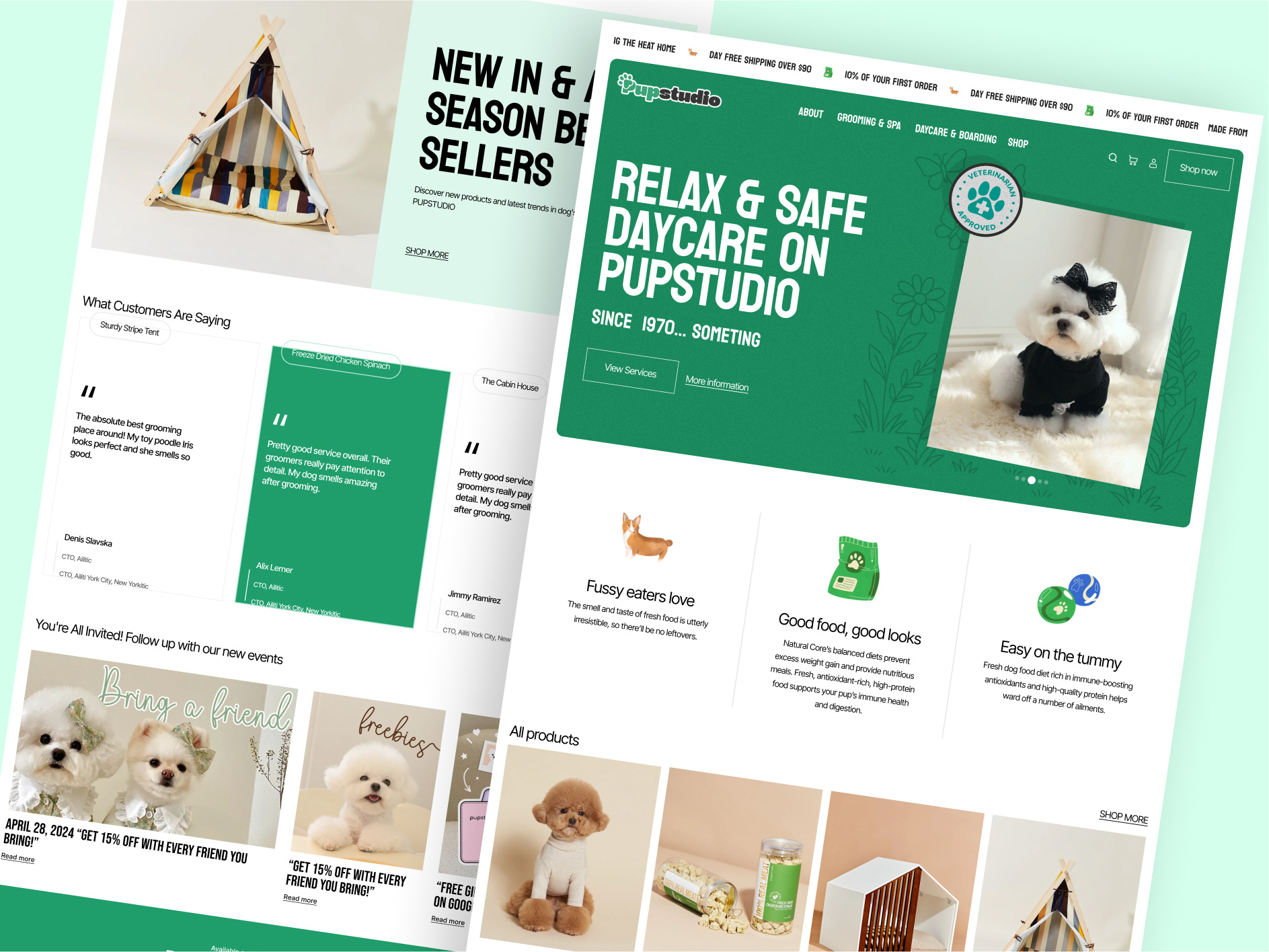 Example of Pet Care Website Design