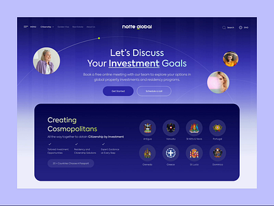 CitizenShip Project blue citizenship design golden visa investment ui ui design ux web tasarım