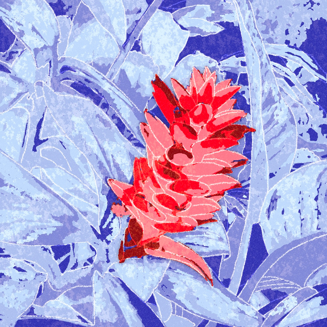 Botanical Ruby bleeding colors botanical colour study concept art design digital art experimental expressive illustration mixed media modern art procreate