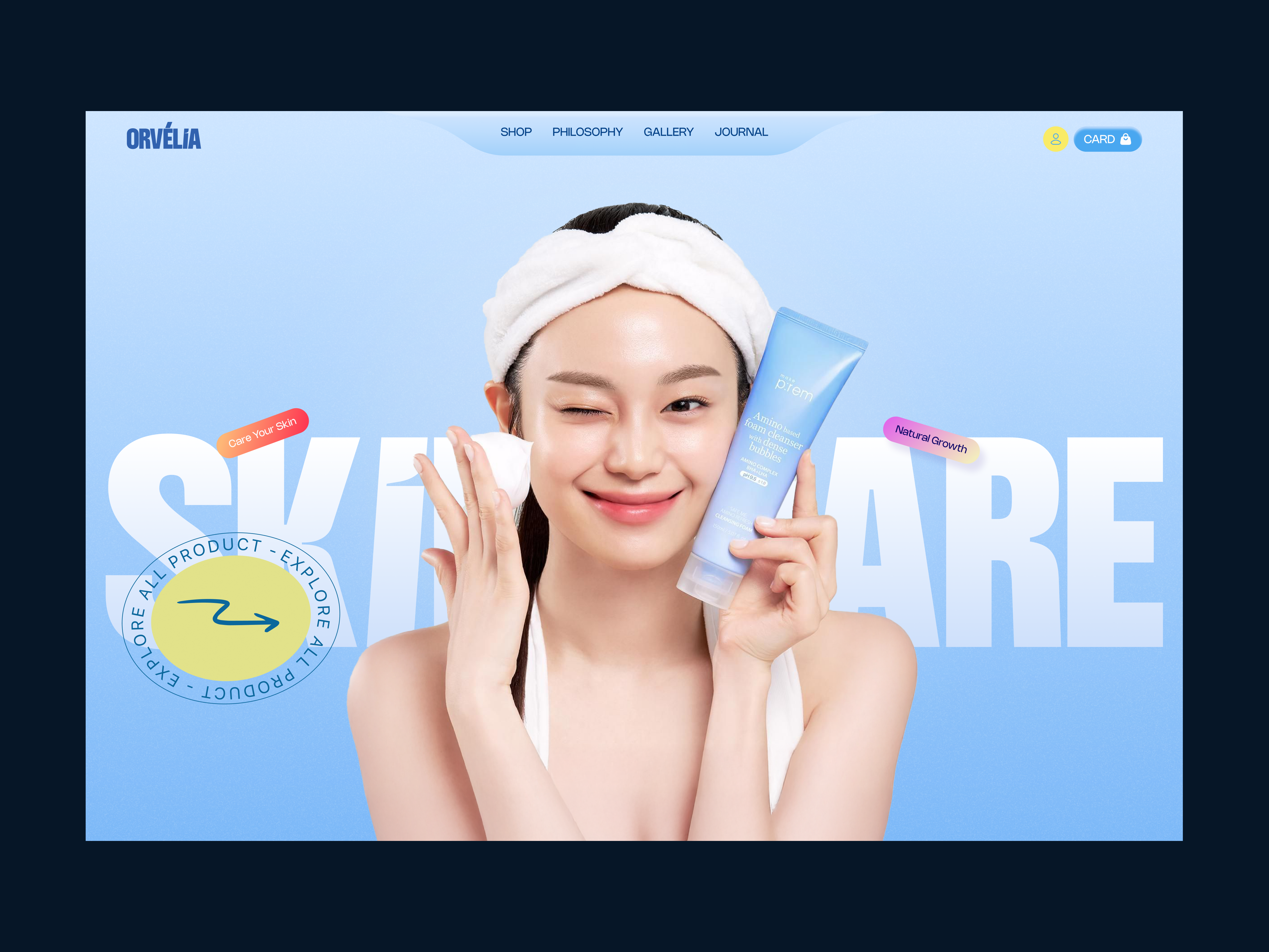 Example of Premium Custom Ecommerce Website Design