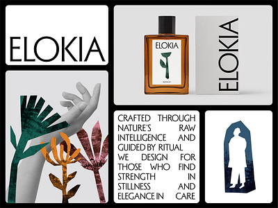 Elokia · Wellness Brand Identity branding illustration logo luxury minimal minimalism modern packaging premium typography ui web
