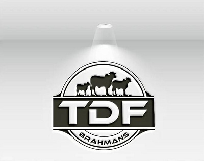 Modern Brahman Stud Logo branding business logo clean logo custom logo farm logo farmer illustration logo designer logo type stud logo vector