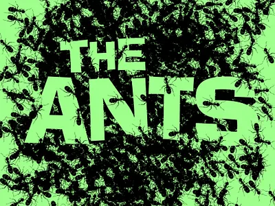 The Ants app branding design graphic design illustration logo typography ui ux vector