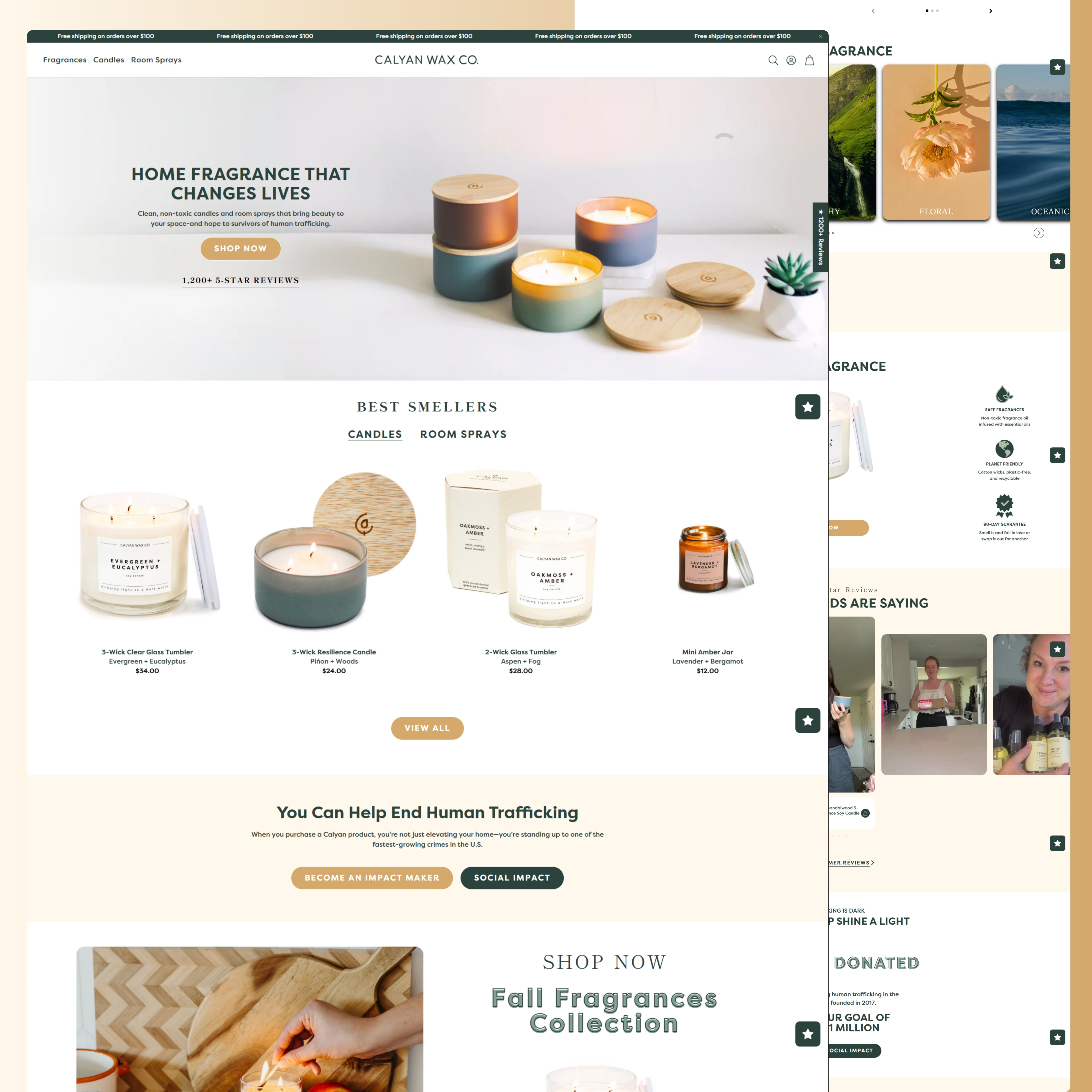 Example of Shopify Website Design & Development