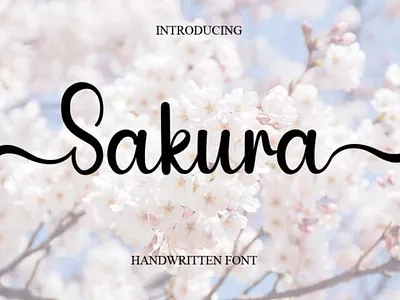 Feminine Font calligraphy fonts cursive fonts design fonts doodle fonts