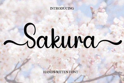 Feminine Font calligraphy fonts cursive fonts design fonts doodle fonts